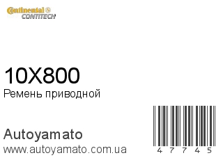 Ремень приводной 10X800 (CONTITECH)